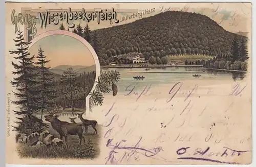 (27156) AK Gruß vom Wiesenbeker Teich, Bad Lauterberg im Harz, Litho 1897