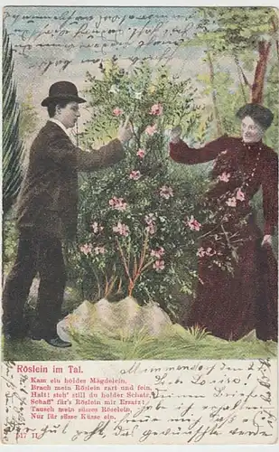 (26486) AK Spruch, Kam ein holdes Mägdelein, brach mein Röslein 1904