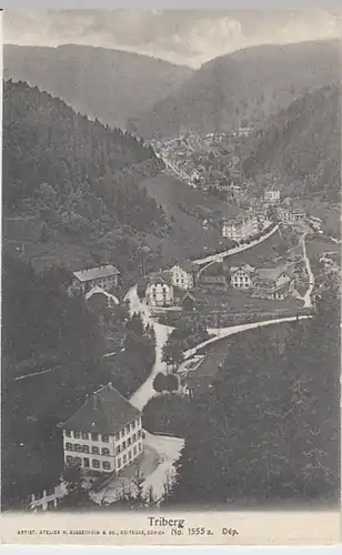 (26437) AK Triberg im Schwarzwald, Panorama, bis 1905