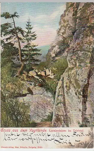 (26250) AK Gruß aus dem Vogtland, Loreleyfelsen, Triebtal, gelauf. 1908