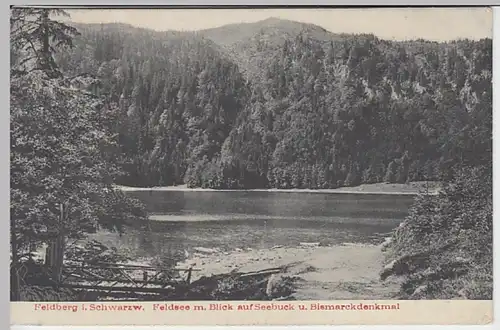 (26244) AK Feldsee, Schwarzwald, Seebuck 1909