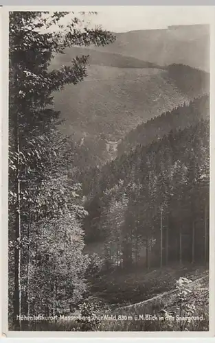 (26103) Foto AK Masserberg, Blick in den Saargrund 1931