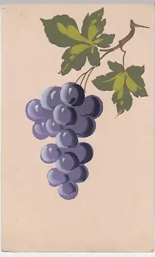 (25993) Künstler AK rote Weintraube, handgemalte Karte, bis 1905