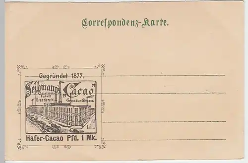 (25959) AK Bad Ischl, Panorama gegen Dachstein, bis um 1905