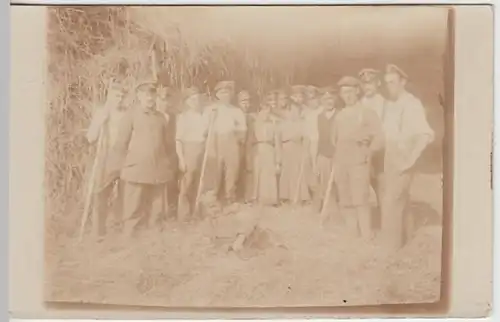(25894) Foto AK Militaria, Soldaten, landwirtschaftlicher Einsatz 1914-18