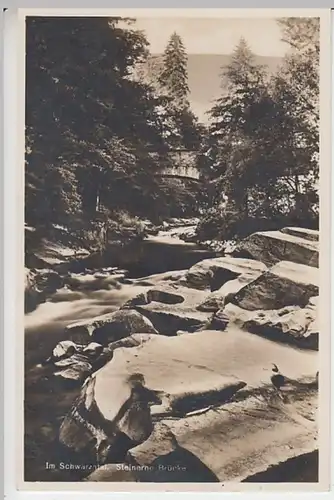 (25758) Foto AK Schwarzatal, Thür., Steinerne Brücke, vor 1945