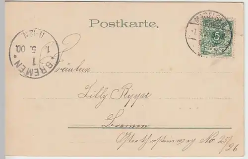 (25597) AK Sprüche, Laß meine Blumengrüße dir heut das Zeichen 1900