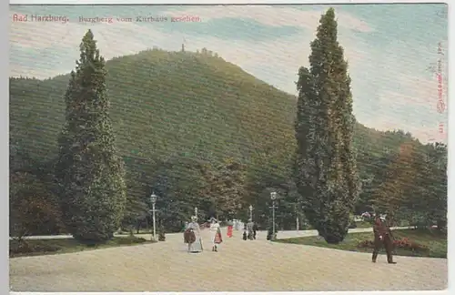 (25516) AK Bad Harzburg, Burgberg, Blick vom Kurhaus 1907