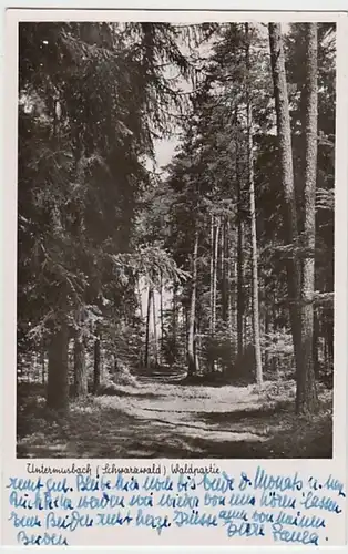 (25405) Foto AK Untermusbach, Schwarzwaldpartie 1955