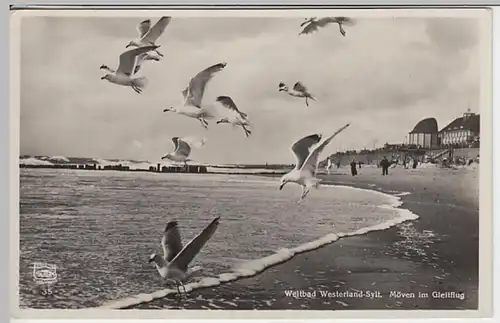 (25389) Foto AK Westerland, Sylt, Möwen am Strand 1931