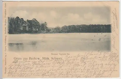 (25184) AK Gruß aus Buckow, Märk. Schweiz, Großer Tornow See 1900