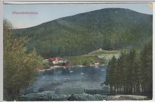(25158) AK Bad Lauterberg im Harz, Wiesenbeker Teich 1927