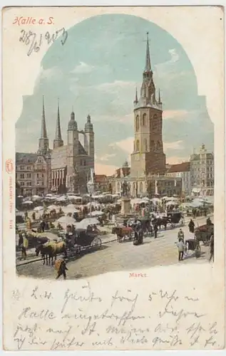(24977) AK Halle, Saale, Markt 1903