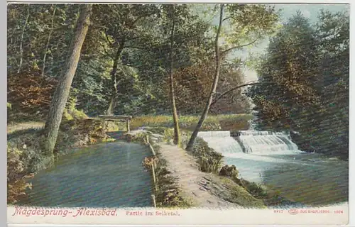 (24719) AK Mägdesprung, Harz, Partie im Selketal, um 1904