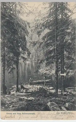 (24696) AK Gruß aus dem Schwarzwald, Seebach, Mummelsee 1905