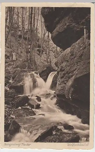 (24675) AK Zwingenberg, Baden, Wolfsschlucht, vor 1945