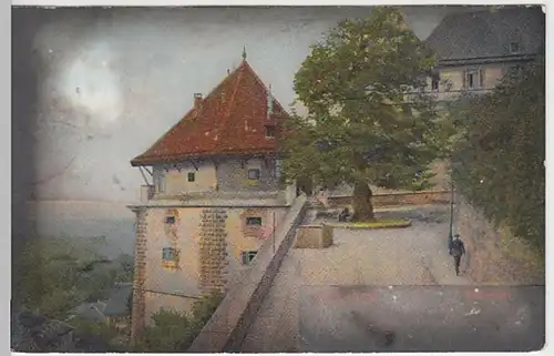 (24644) AK Tübingen, Schlosslinde, vor 1945