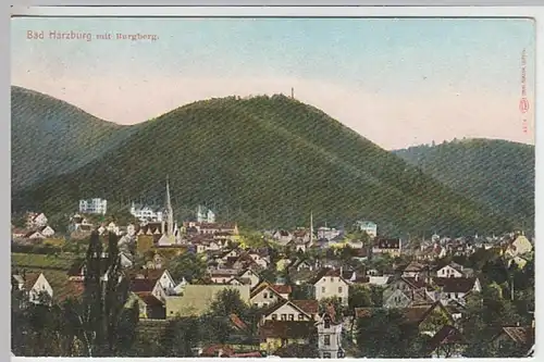 (24618) AK Bad Harzburg, Stadtansicht mit Burgberg 1910