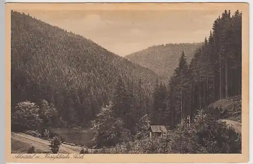 (24533) AK Schortetal, Knöpfelstaler Teich, Thür. Wald, bis 1918