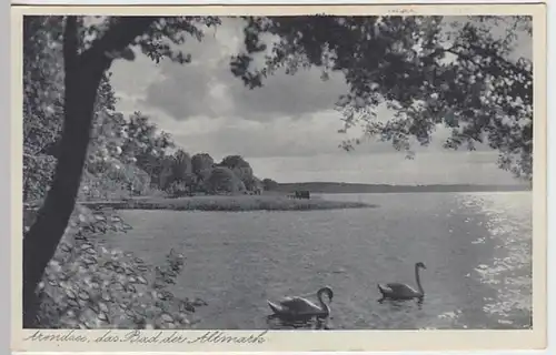 (24460) AK Arendsee, Altmark, Blick über den See 1939