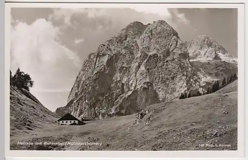 (24418) Foto AK Halsalm, Reiteralpe, Mühlsturzhörner