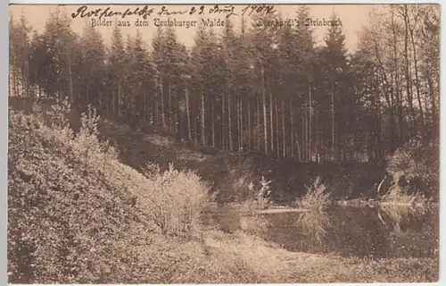 (24351) AK Teutoburger Wald, Leonhardts Steinbruch 1907