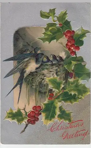 (24123) Künstler AK Weihnachten, Schwalben, Stechpalme, Prägek. 1906