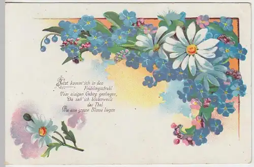 (23983) AK Sprüche, Jetzt komm ich in den Frühlingsstrahl, vor 1945