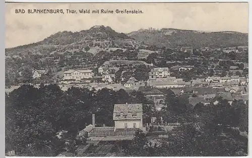 (23947) AK Bad Blankenburg, Panorama, vor 1945