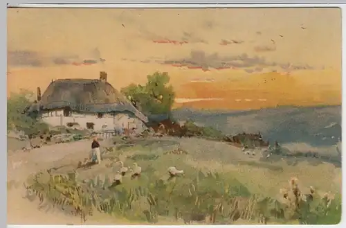 (23880) Künstler AK Reetgedecktes Haus, Frau mit Gänsen, gelauf. 1909
