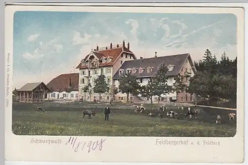 (23658) AK Feldberg, Schwarzwald, Feldberger Hof 1908