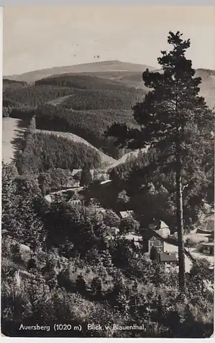 (23595) Foto AK Blauenthal, Blick zum Auersberg, vor 1945