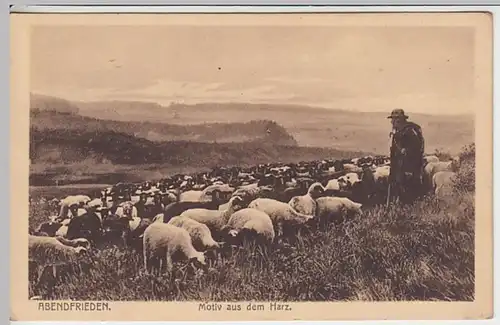 (23492) AK Harz, Schäfer mit Herde, vor 1945
