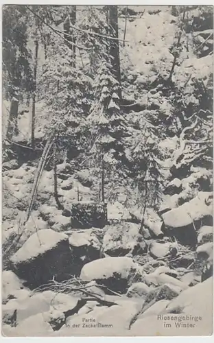 (23463) AK Riesengebirge, Partie in der Zackelklamm, vor 1945