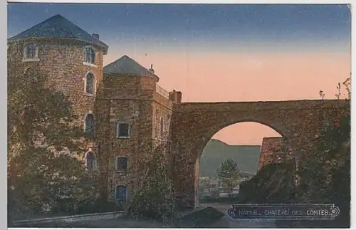 (23377) AK Namur, Chateau des Comtes, vor 1945