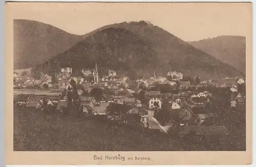 (23376) AK Bad Harzburg, Panorama, Burgberg, vor 1945