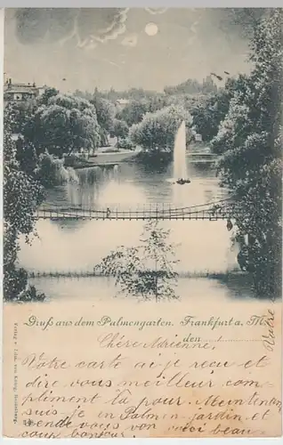 (23267) AK Gruß aus d. Palmengarten, Frankfurt, Main, Mondschein. 1899