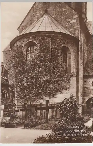 (23186) Foto AK Hildesheim, Dom, Rosenstock, vor 1945