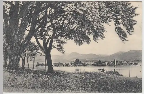 (23118) AK Chiemsee, Fraueninsel, Panorama, vor 1945