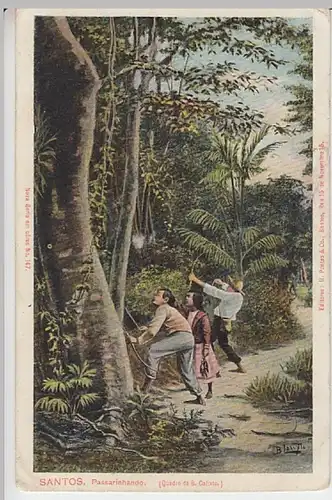 (22786) Künstler AK B. Calixto, Santos, Passarinhando, vor 1945