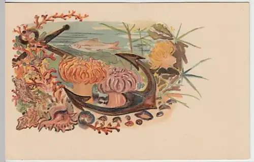 (22656) Künstler AK Anker, Seeanemonen, Muscheln, Fisch, bis 1905