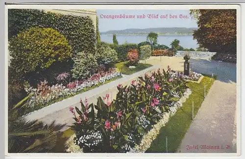 (22648) AK Insel Mainau, Konstanz, Orangenbäume, Seeblick, vor 1945