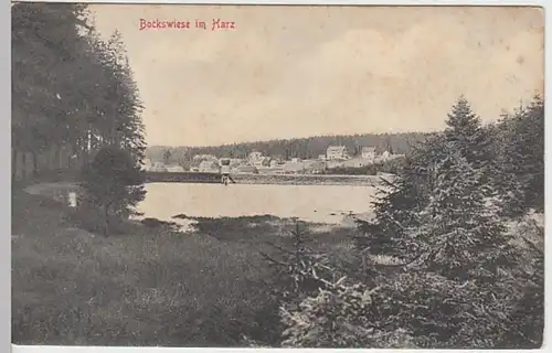 (22356) AK Bockswiese, Hahnenklee, Harz, Panorama, um 1905