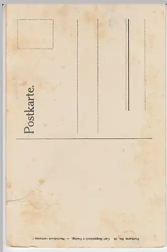 (22210) AK Stellingen-Hamburg, Tierpark Hagenbeck, Steinböcke, v. 1945