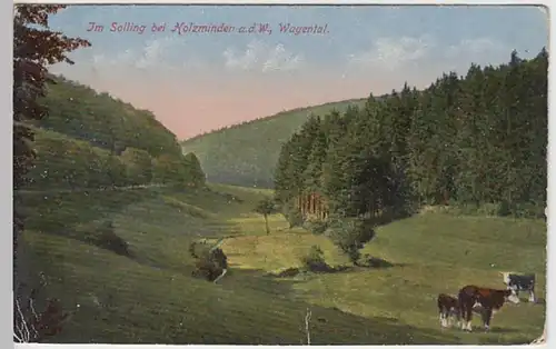 (22166) AK Holzminden, Solling, Wagental 1918