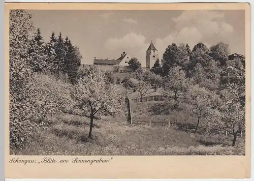 (21837) AK Schongau, Blüte am Sonnengraben 1944