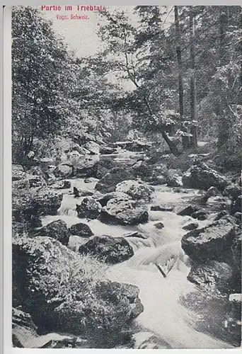 (21826) AK Triebtal, Vogtl. Schweiz 1910