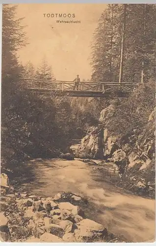 (21464) AK Todtmoos, Wehraschlucht, um 1906