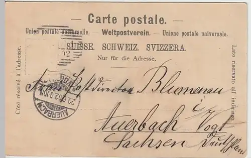 (21409) AK Berner Oberland, Schweizerhaus 1902