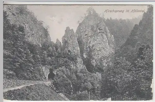 (21376) AK Höllental, Schwarzw., Hirschsprung 1906